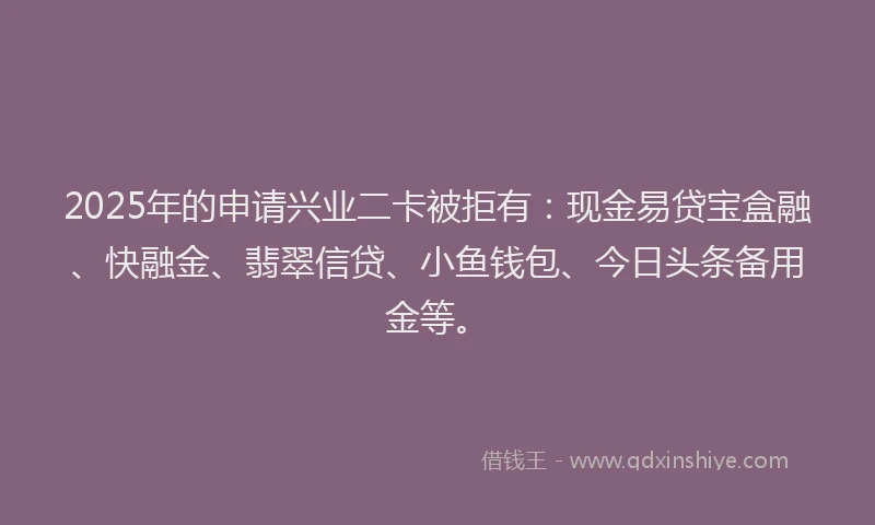 2025年的申请兴业二卡被拒有：现金易贷宝盒融、快融金、翡翠信贷、小鱼钱包、今日头条备用金等。