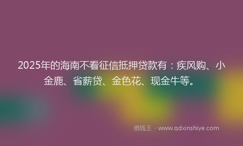 2025年的海南不看征信抵押贷款有：疾风购、小金鹿、省薪贷、金色花、现金牛等。