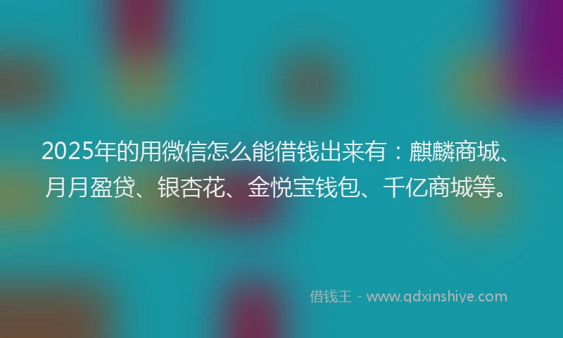 2025年的用微信怎么能借钱出来有：麒麟商城、月月盈贷、银杏花、金悦宝钱包、千亿商城等。