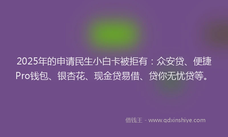 2025年的申请民生小白卡被拒有：众安贷、便捷Pro钱包、银杏花、现金贷易借、贷你无忧贷等。