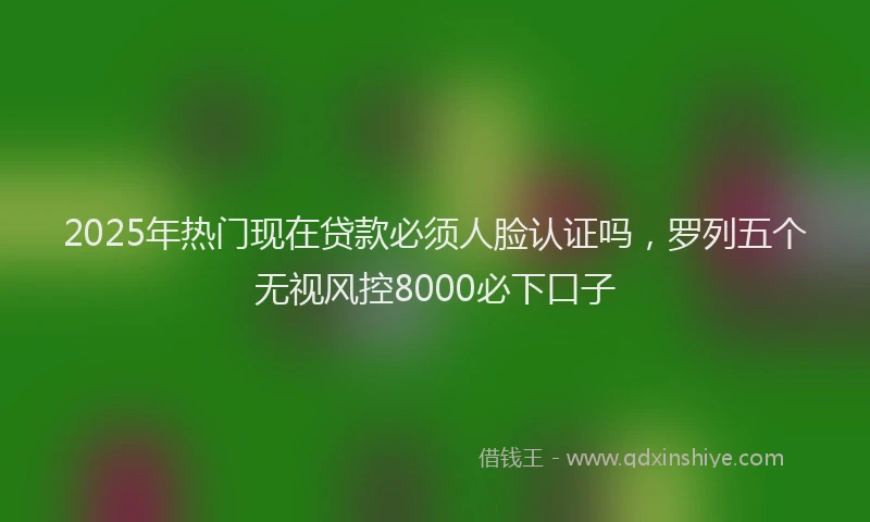 2025年热门现在贷款必须人脸认证吗，罗列五个无视风控8000必下口子