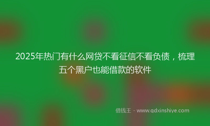 2025年热门有什么网贷不看征信不看负债，梳理五个黑户也能借款的软件
