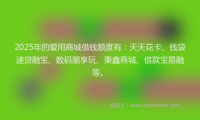 2025年的爱用商城借钱额度有：天天花卡、钱袋速贷融宝、数码潮享玩、秉鑫商城、借款宝易融等。