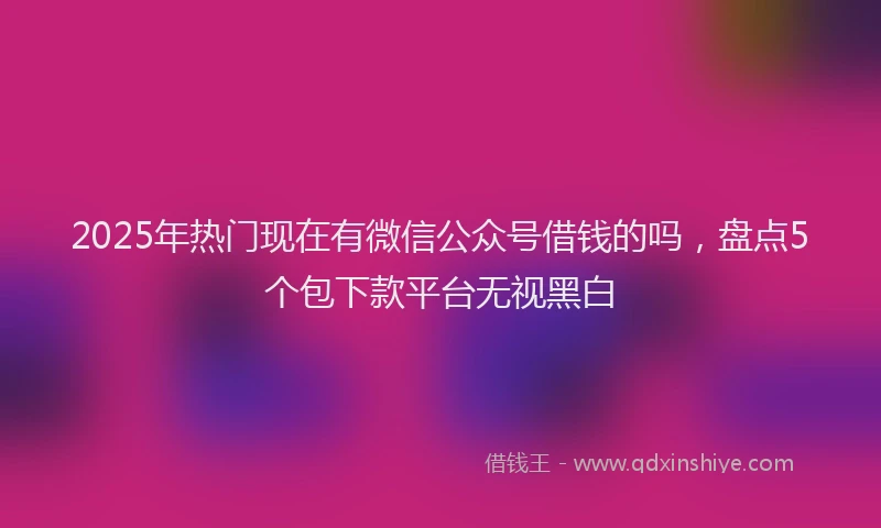 2025年热门现在有微信公众号借钱的吗，盘点5个包下款平台无视黑白