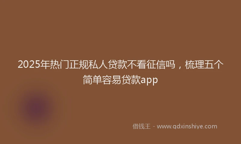 2025年热门正规私人贷款不看征信吗，梳理五个简单容易贷款app