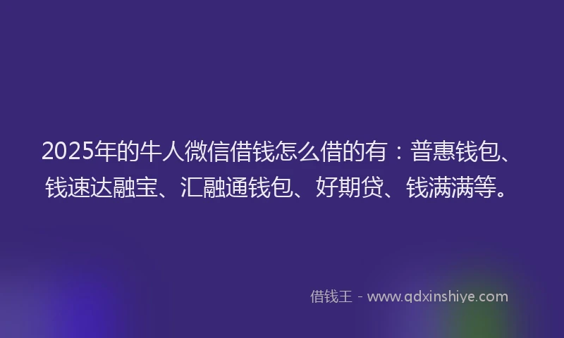 2025年的牛人微信借钱怎么借的有：普惠钱包、钱速达融宝、汇融通钱包、好期贷、钱满满等。