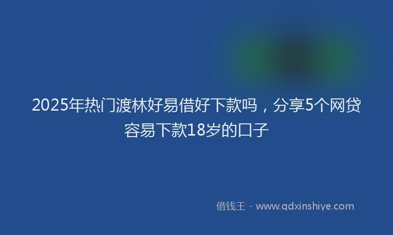 2025年热门渡林好易借好下款吗，分享5个网贷容易下款18岁的口子