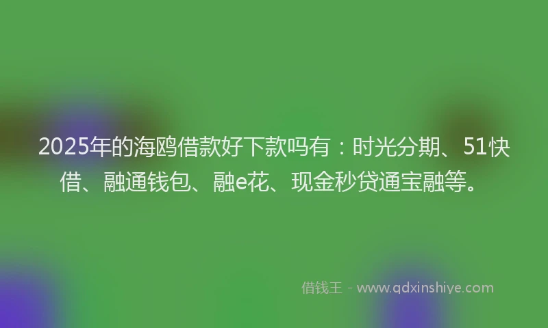 2025年的海鸥借款好下款吗有：时光分期、51快借、融通钱包、融e花、现金秒贷通宝融等。