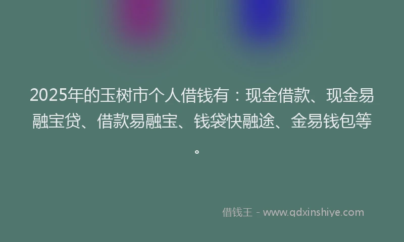 2025年的玉树市个人借钱有：现金借款、现金易融宝贷、借款易融宝、钱袋快融途、金易钱包等。