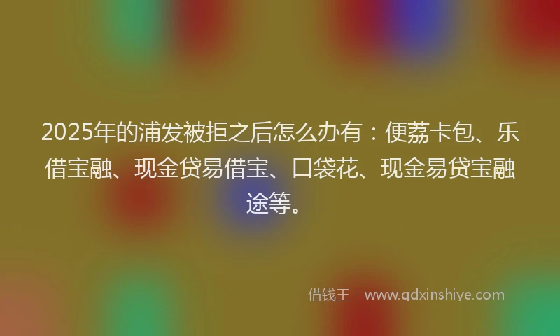 2025年的浦发被拒之后怎么办有：便荔卡包、乐借宝融、现金贷易借宝、口袋花、现金易贷宝融途等。