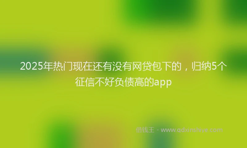 2025年热门现在还有没有网贷包下的，归纳5个征信不好负债高的app