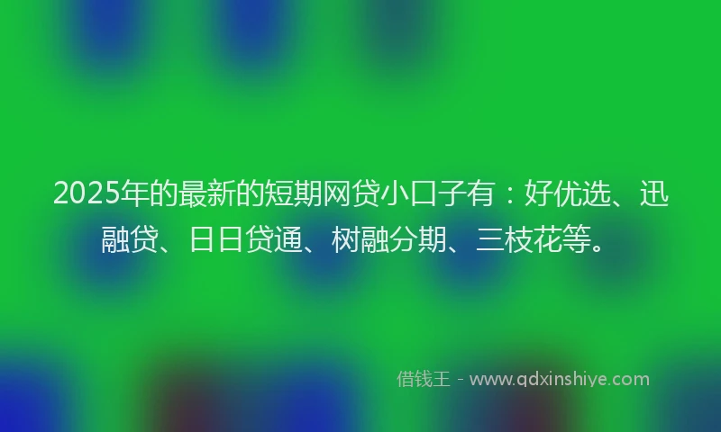 2025年的最新的短期网贷小口子有：好优选、迅融贷、日日贷通、树融分期、三枝花等。