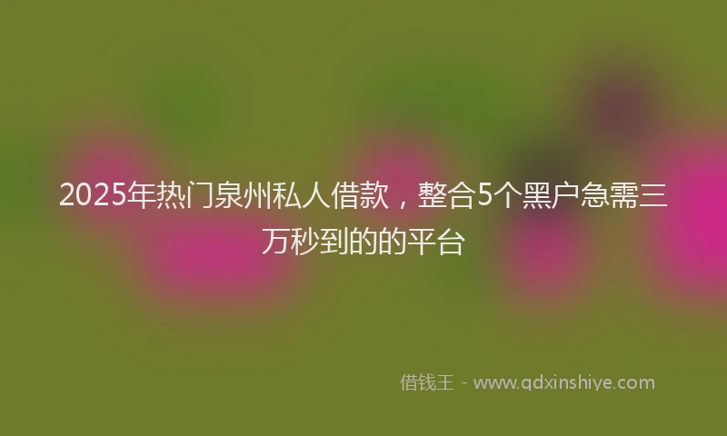 2025年热门泉州私人借款，整合5个黑户急需三万秒到的的平台