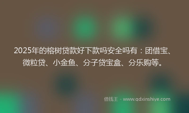 2025年的榕树贷款好下款吗安全吗有：团借宝、微粒贷、小金鱼、分子贷宝盒、分乐购等。