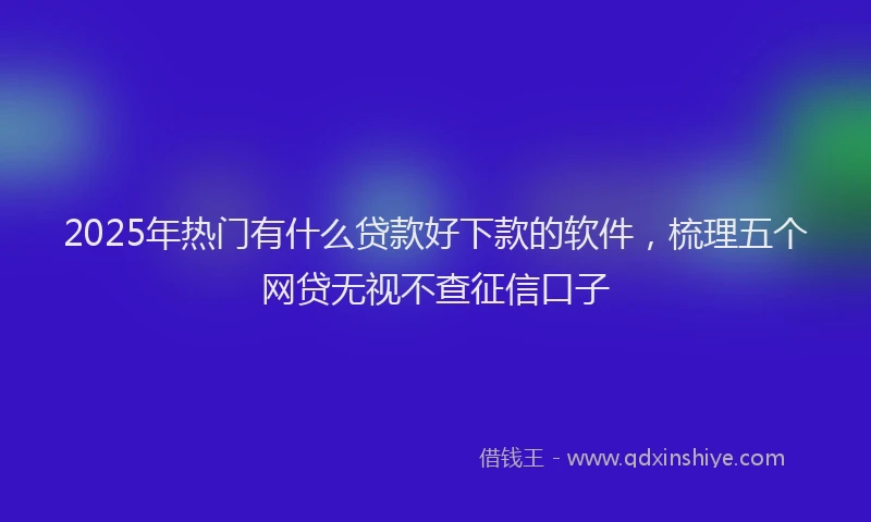 2025年热门有什么贷款好下款的软件，梳理五个网贷无视不查征信口子