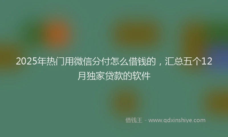 2025年热门用微信分付怎么借钱的，汇总五个12月独家贷款的软件