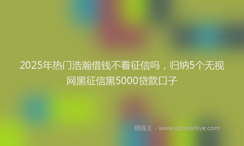 2025年热门浩瀚借钱不看征信吗，归纳5个无视网黑征信黑5000贷款口子