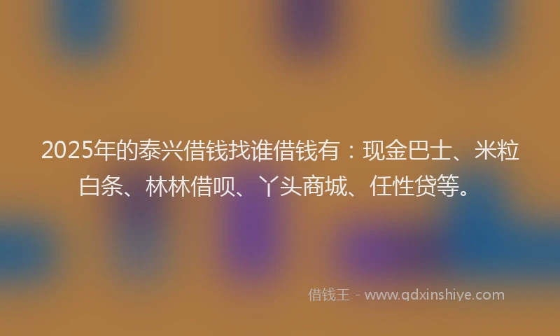 2025年的泰兴借钱找谁借钱有：现金巴士、米粒白条、林林借呗、丫头商城、任性贷等。