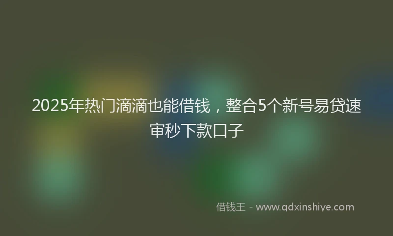 2025年热门滴滴也能借钱，整合5个新号易贷速审秒下款口子