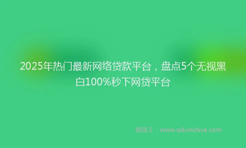 2025年热门最新网络贷款平台，盘点5个无视黑白100%秒下网贷平台