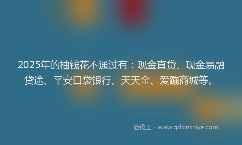 2025年的柚钱花不通过有：现金直贷、现金易融贷途、平安口袋银行、天天金、爱蹦商城等。