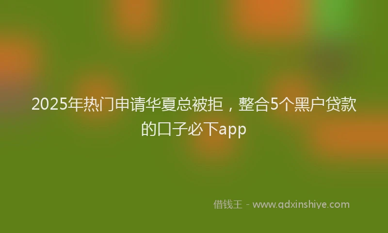 2025年热门申请华夏总被拒，整合5个黑户贷款的口子必下app