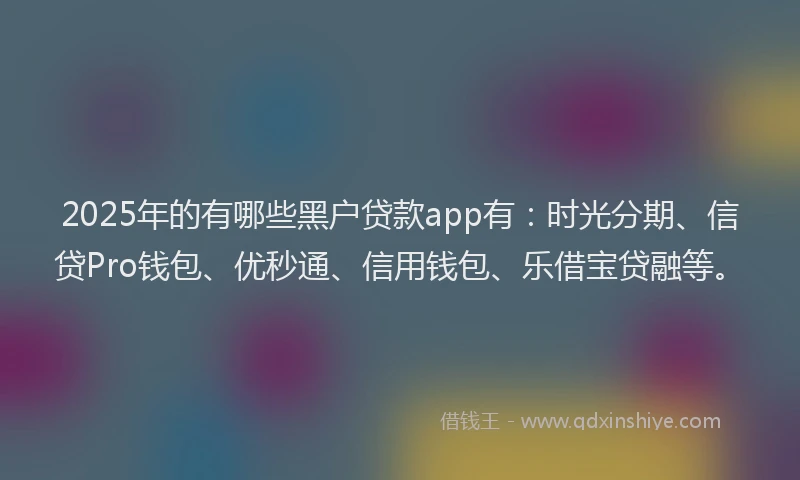 2025年的有哪些黑户贷款app有：时光分期、信贷Pro钱包、优秒通、信用钱包、乐借宝贷融等。
