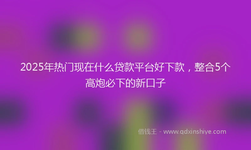 2025年热门现在什么贷款平台好下款，整合5个高炮必下的新口子