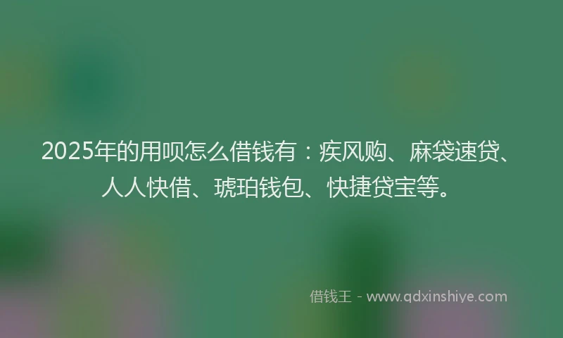2025年的用呗怎么借钱有：疾风购、麻袋速贷、人人快借、琥珀钱包、快捷贷宝等。