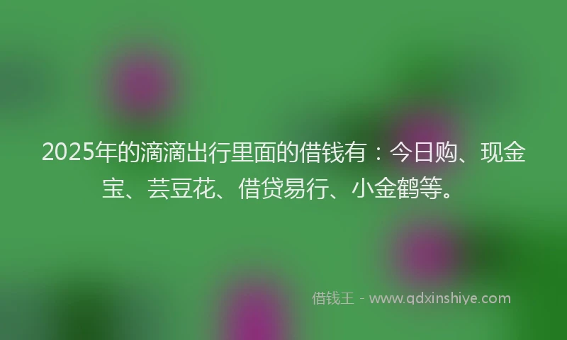 2025年的滴滴出行里面的借钱有：今日购、现金宝、芸豆花、借贷易行、小金鹤等。