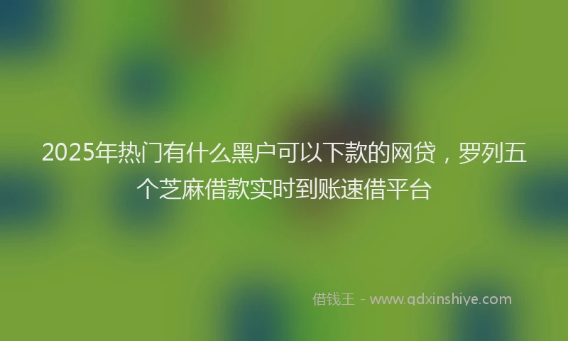 2025年热门有什么黑户可以下款的网贷，罗列五个芝麻借款实时到账速借平台