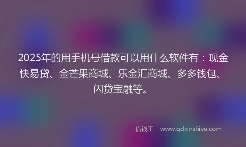 2025年的用手机号借款可以用什么软件有：现金快易贷、金芒果商城、乐金汇商城、多多钱包、闪贷宝融等。