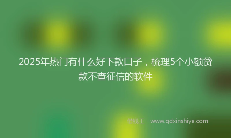2025年热门有什么好下款口子，梳理5个小额贷款不查征信的软件