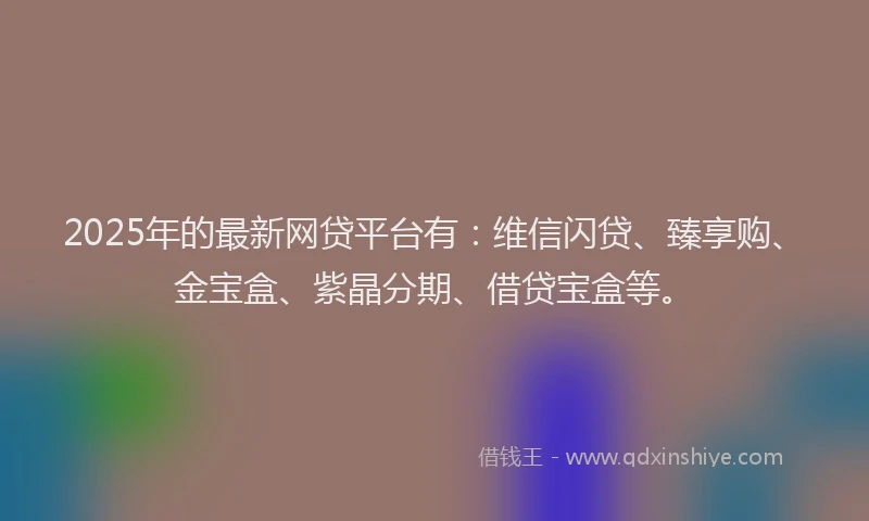 2025年的最新网贷平台有：维信闪贷、臻享购、金宝盒、紫晶分期、借贷宝盒等。