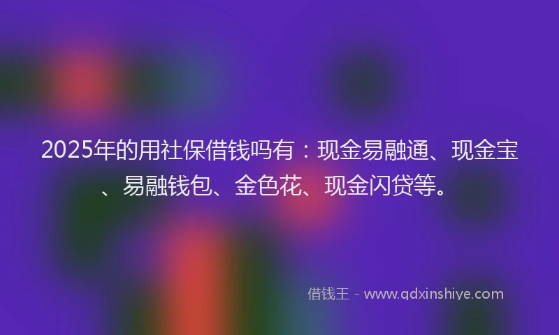 2025年的用社保借钱吗有：现金易融通、现金宝、易融钱包、金色花、现金闪贷等。