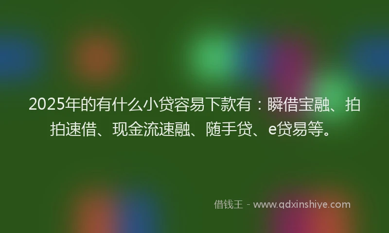 2025年的有什么小贷容易下款有：瞬借宝融、拍拍速借、现金流速融、随手贷、e贷易等。
