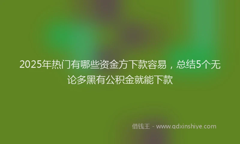 2025年热门有哪些资金方下款容易，总结5个无论多黑有公积金就能下款