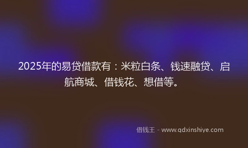 2025年的易贷借款有：米粒白条、钱速融贷、启航商城、借钱花、想借等。