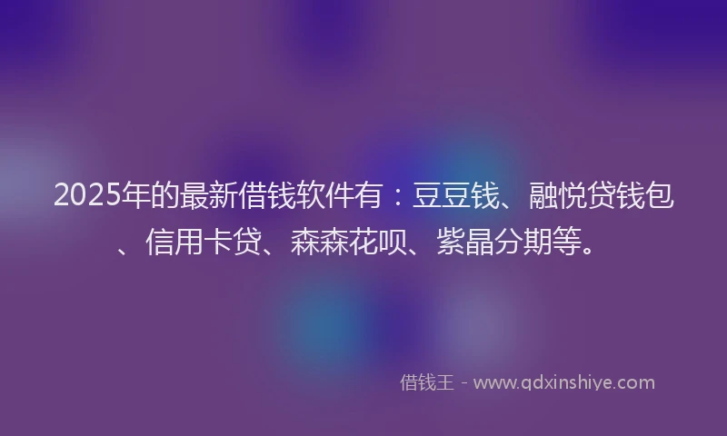 2025年的最新借钱软件有：豆豆钱、融悦贷钱包、信用卡贷、森森花呗、紫晶分期等。