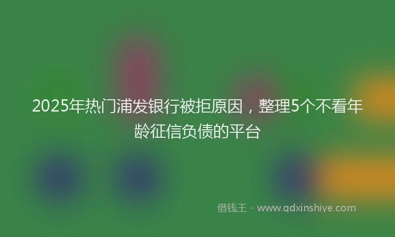 2025年热门浦发银行被拒原因，整理5个不看年龄征信负债的平台