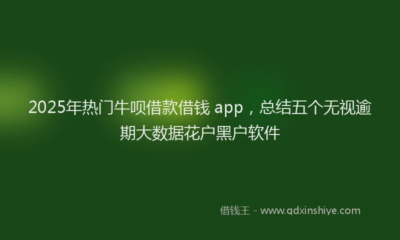 2025年热门牛呗借款借钱 app，总结五个无视逾期大数据花户黑户软件