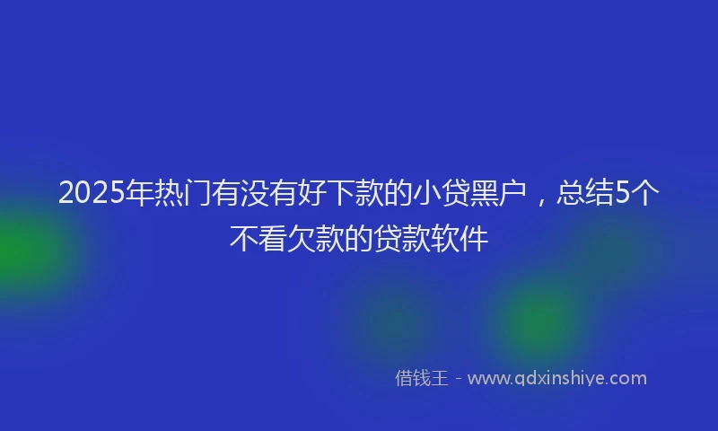 2025年热门有没有好下款的小贷黑户，总结5个不看欠款的贷款软件