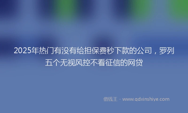 2025年热门有没有给担保费秒下款的公司，罗列五个无视风控不看征信的网贷