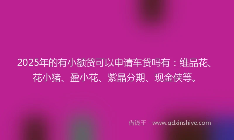 2025年的有小额贷可以申请车贷吗有：维品花、花小猪、盈小花、紫晶分期、现金侠等。