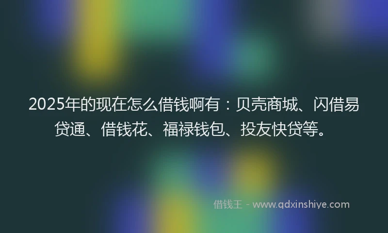 2025年的现在怎么借钱啊有：贝壳商城、闪借易贷通、借钱花、福禄钱包、投友快贷等。