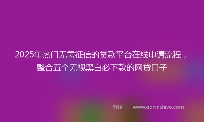 2025年热门无需征信的贷款平台在线申请流程，整合五个无视黑白必下款的网贷口子