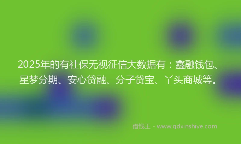 2025年的有社保无视征信大数据有：鑫融钱包、星梦分期、安心贷融、分子贷宝、丫头商城等。