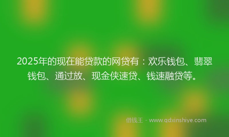 2025年的现在能贷款的网贷有：欢乐钱包、翡翠钱包、通过放、现金侠速贷、钱速融贷等。