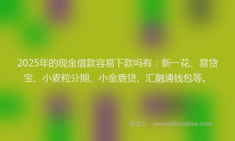 2025年的现金借款容易下款吗有：新一花、易贷宝、小麦粒分期、小金鹿贷、汇融通钱包等。