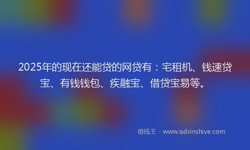 2025年的现在还能贷的网贷有：宅租机、钱速贷宝、有钱钱包、疾融宝、借贷宝易等。